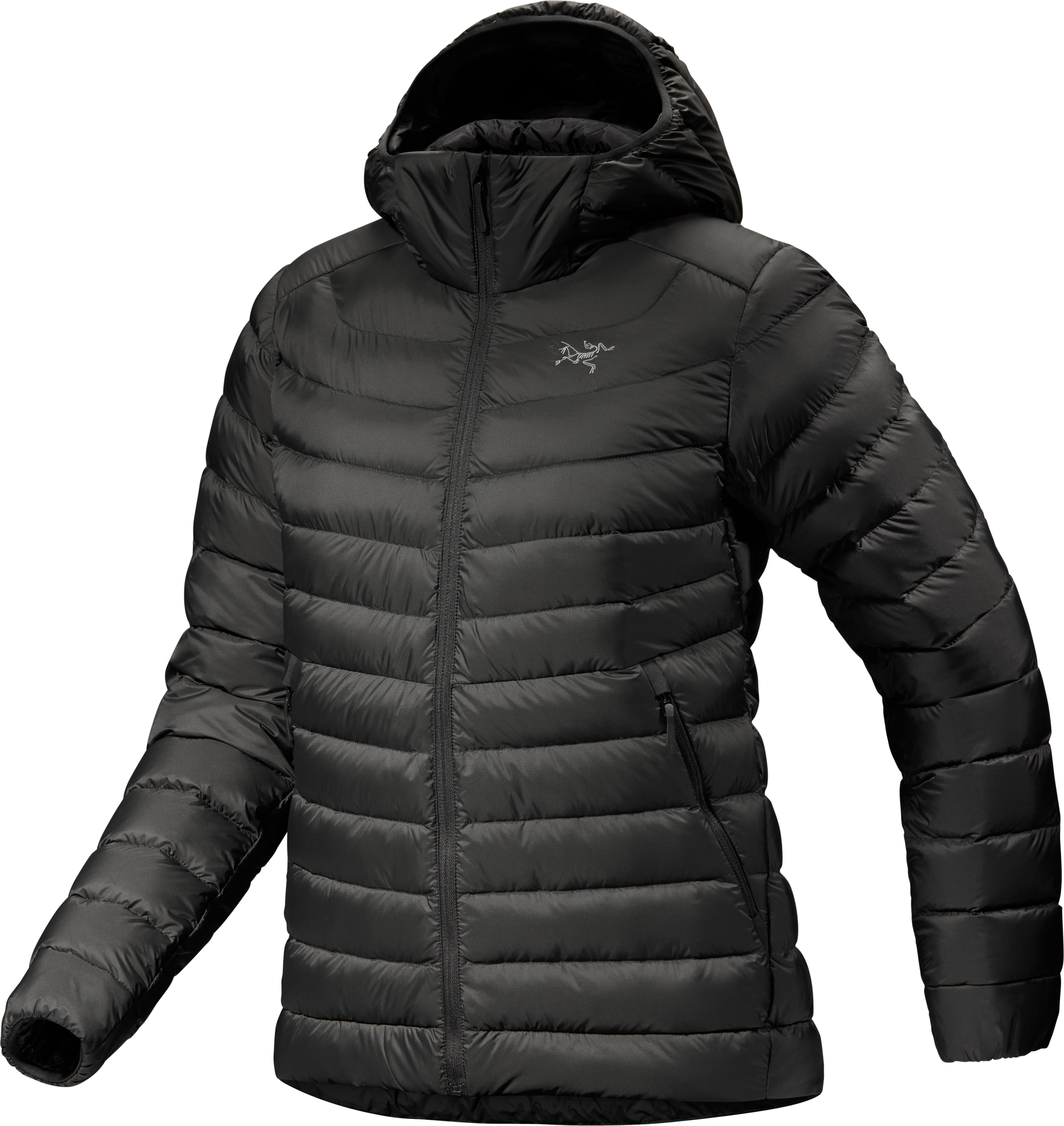 Arc'teryx Cerium Hoody W Down jacket black L - Transa.ch
